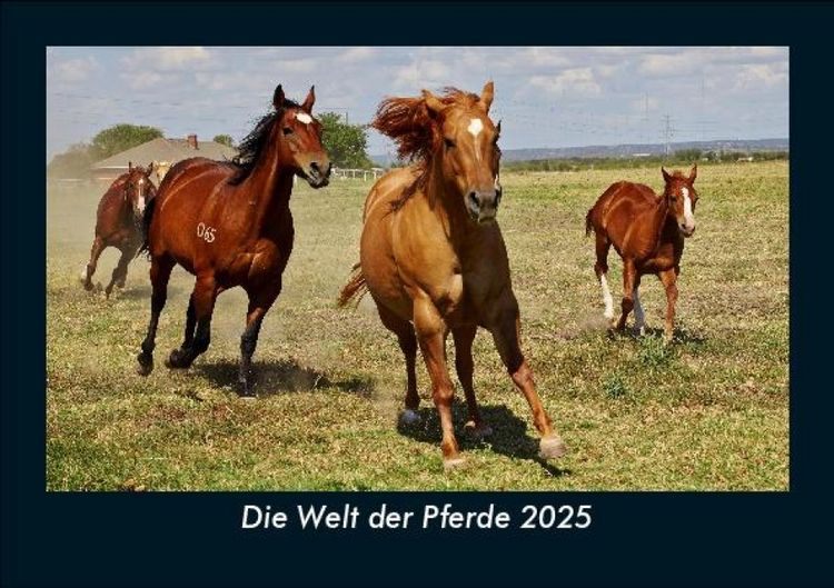 Produktbild: Die Welt der Pferde 2025 Fotokalender DIN A5
