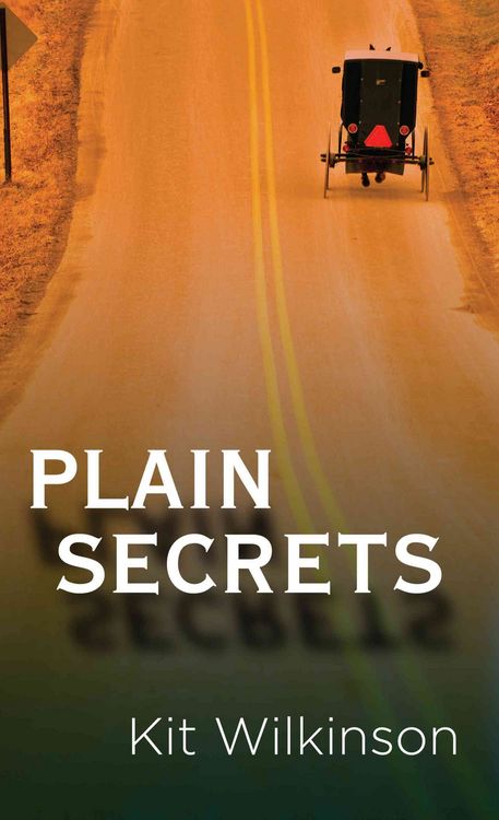 Produktbild: Plain Secrets -Lp