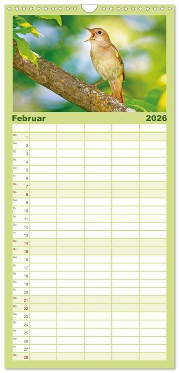 Produktbild: Familienplaner 2026 - Amsel, Fink und Star: Heimische V&ouml;gel mit 5 Spalten (Wandkalender, 21 x 45 cm) CALVENDO