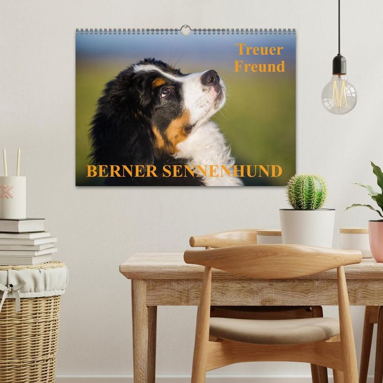 Produktbild: Treuer Freund Berner Sennenhund (Wandkalender 2026 DIN A3 quer), CALVENDO Monatskalender