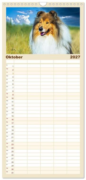 Produktbild: Familienplaner 2027 - Faszinierende Rough Collies mit 5 Spalten (Wandkalender, 21 x 45 cm) CALVENDO