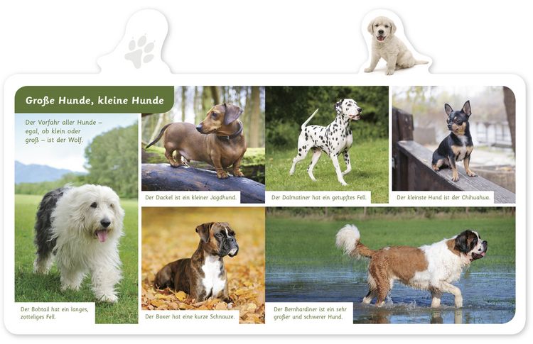 Produktbild: Der Hund