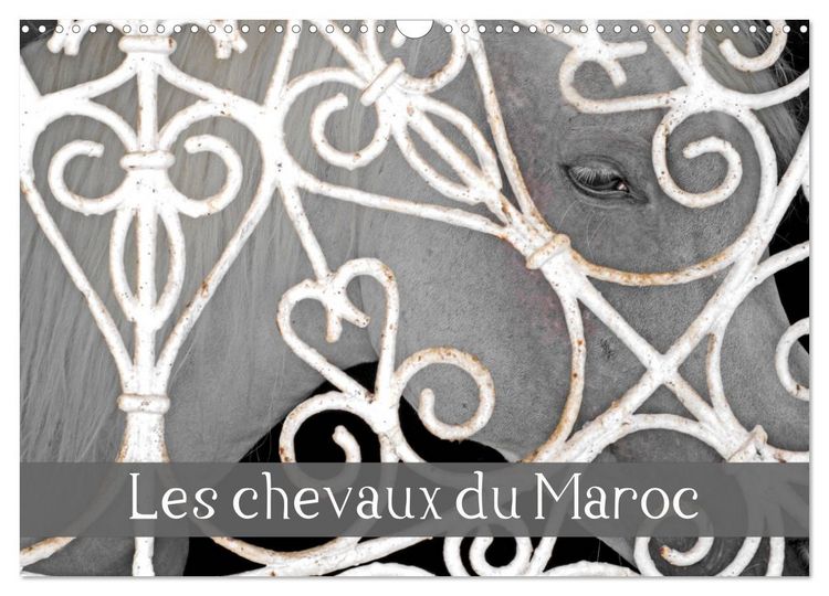 Produktbild: Les chevaux du Maroc (Calendrier mural 2026 DIN A3 vertical), CALVENDO calendrier mensuel