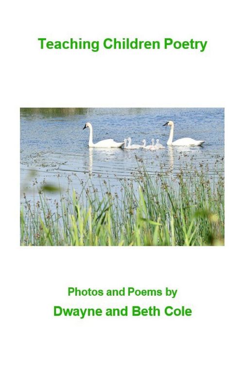 Produktbild: Teaching Children Poetry