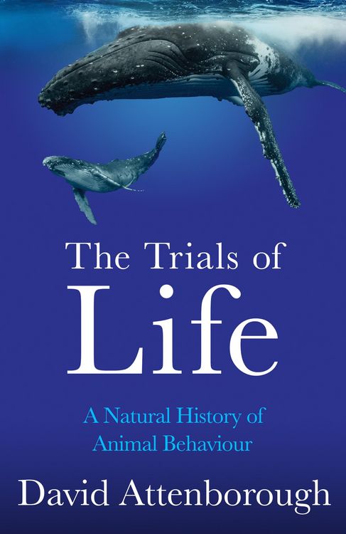 Produktbild: The Trials Of Life