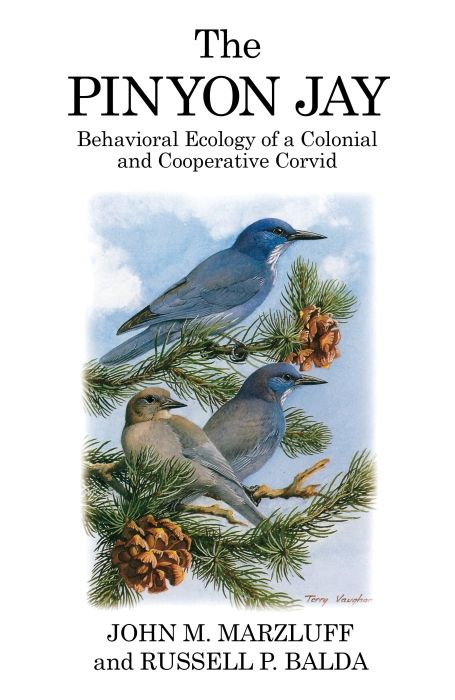 Produktbild: Marzluff, J: The Pinyon Jay