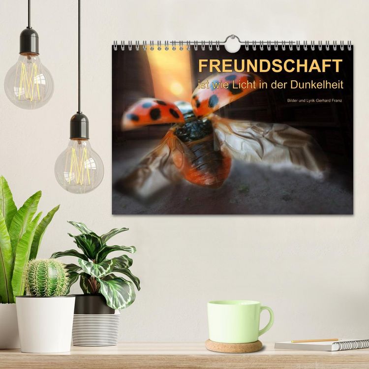 Produktbild: Freundschaft (Wandkalender 2026 DIN A4 quer), CALVENDO Monatskalender