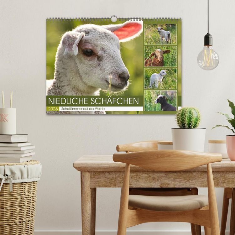 Produktbild: Niedliche Sch&auml;fchen (Wandkalender 2026 DIN A3 quer), CALVENDO Monatskalender