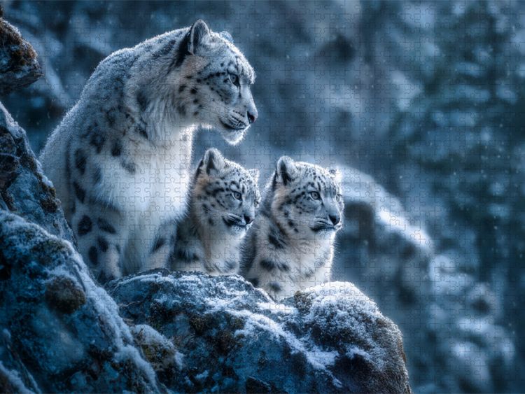 Produktbild: CALVENDO Puzzle Die Freiheit tr&auml;gt Fell | 1000 Teile Lege-Gr&ouml;&szlig;e 64x48cm Foto-Puzzle f&uuml;r gl&uuml;ckliche Stunden
