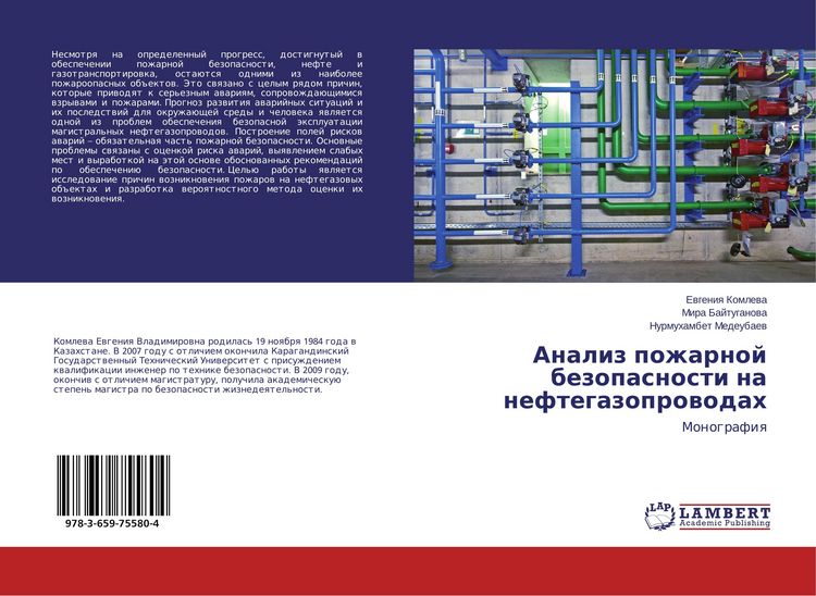 Produktbild: Analiz pozharnoj bezopasnosti na neftegazoprowodah