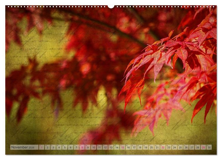 Produktbild: Vintage Nature - Romantische Naturaufnahmen (Wandkalender 2026 DIN A2 quer), CALVENDO Monatskalender