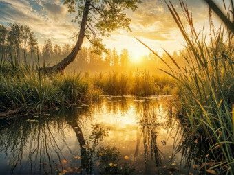 Produktbild: CALVENDO Puzzle Ein Natursee spiegelt die aufgehende Sonne - der Sommer zeigt seine stille Seite | 1000 Teile Lege-Gr&ouml;&szlig;e 64x48cm Foto-Puzzle f&uuml;r gl&uuml;ck
