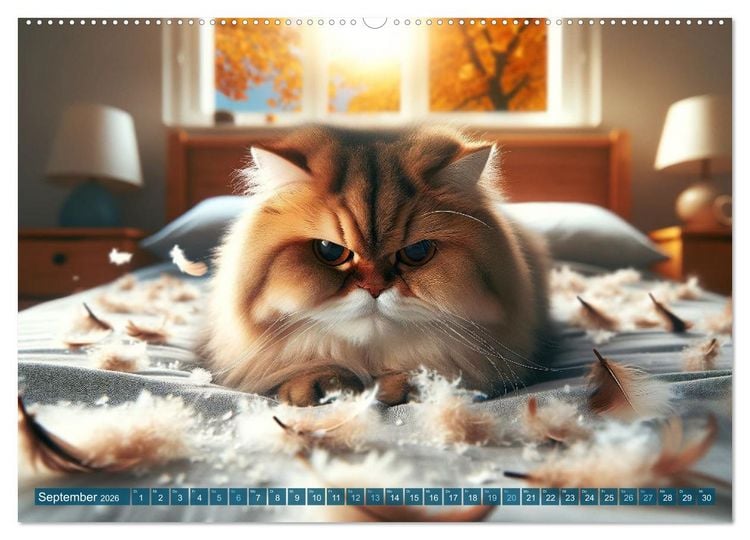 Produktbild: Katzenlaunen - Durch das Jahr mit Fluff und Grummeln (Wandkalender 2026 DIN A2 quer), CALVENDO Monatskalender