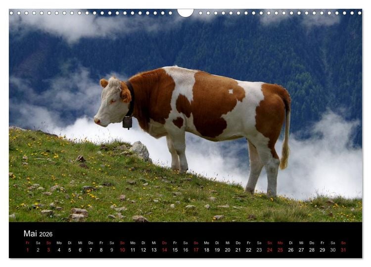 Produktbild: Im Tauferer Ahrntal in S&uuml;dtirol (Wandkalender 2026 DIN A3 quer), CALVENDO Monatskalender