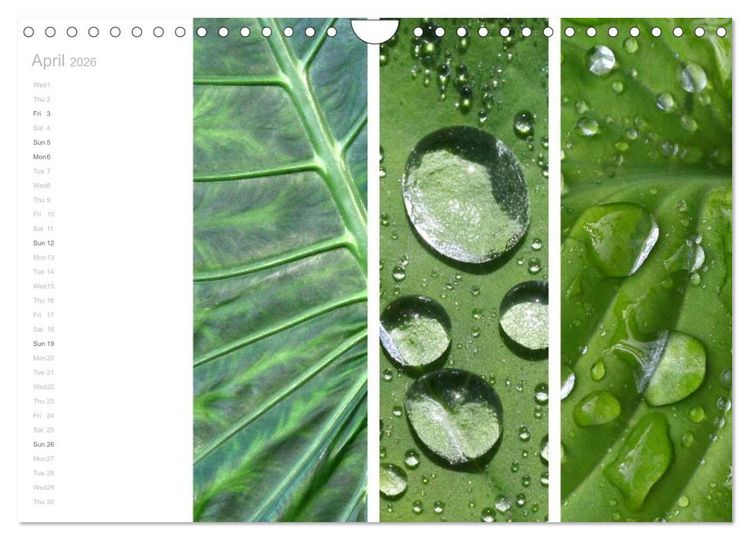 Produktbild: Natural Trios (Wall Calendar 2026 DIN A4 landscape), CALVENDO 12 Month Wall Calendar