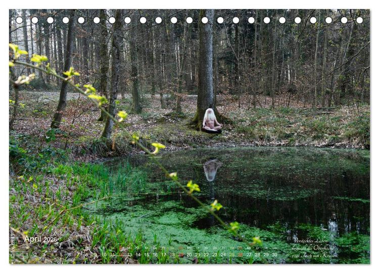 Produktbild: HAIKU AM TEICH (Tischkalender 2026 DIN A5 quer), CALVENDO Monatskalender
