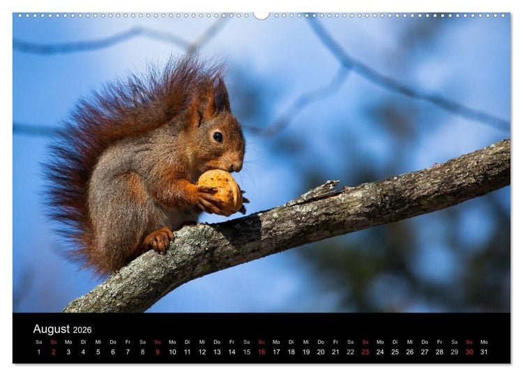 Produktbild: Tierkalender 2026 (hochwertiger Premium Wandkalender 2026 DIN A2 quer), Kunstdruck in Hochglanz