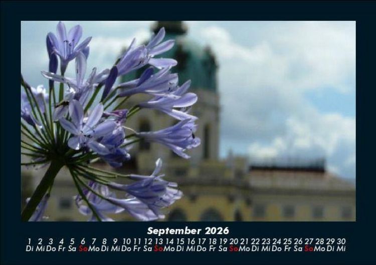 Produktbild: Blumentr&auml;ume 2026 Fotokalender DIN A5