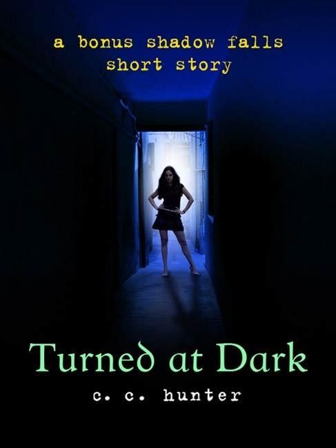Produktbild: Turned at Dark