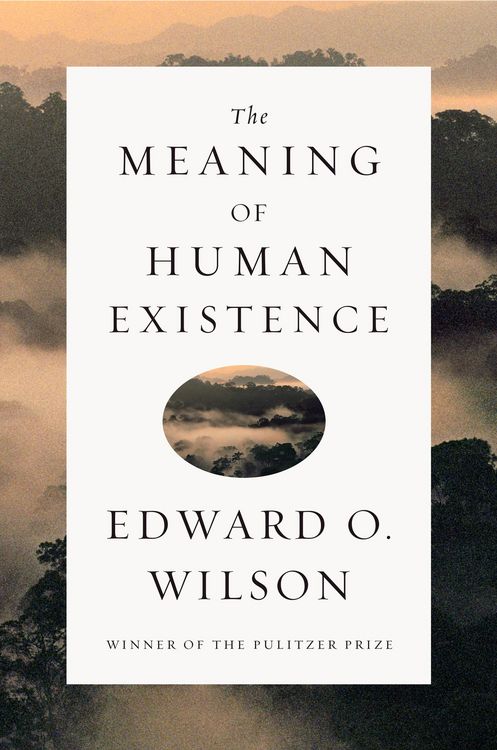 Produktbild: The Meaning of Human Existence