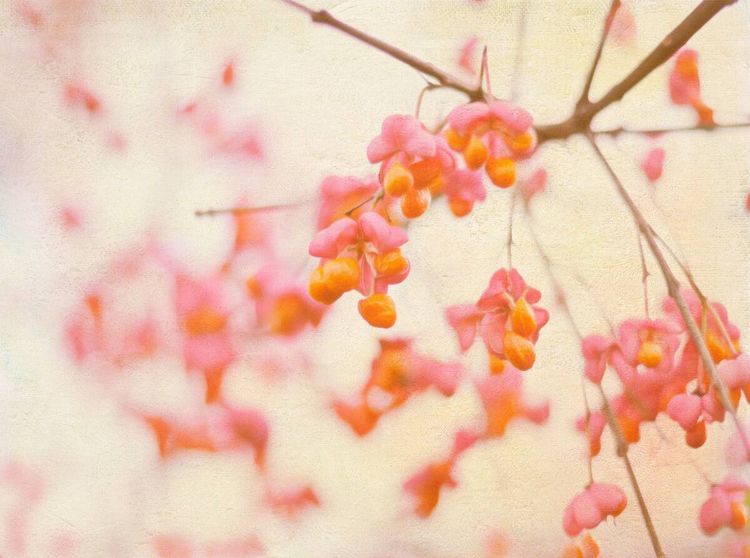 Produktbild: CALVENDO Puzzle Natursch&ouml;nheiten | 2000 Teile Lege-Gr&ouml;&szlig;e 90x67cm Foto-Puzzle f&uuml;r gl&uuml;ckliche Stunden