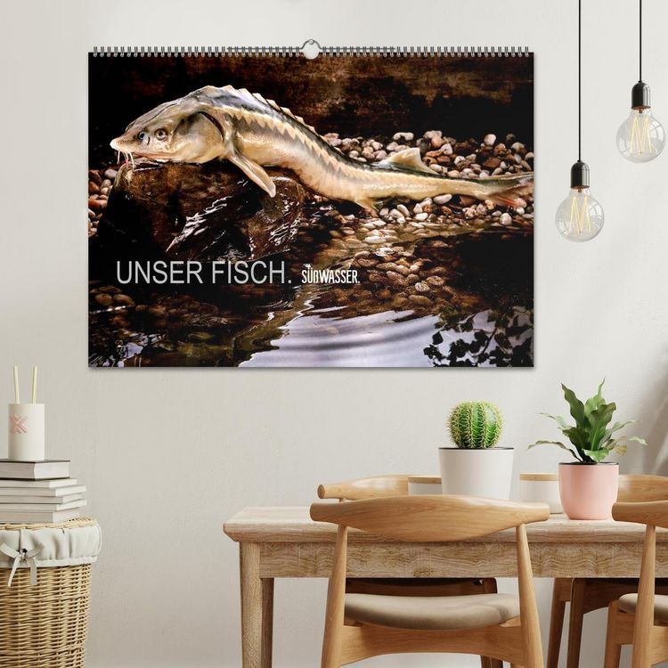 Produktbild: UNSER FISCH. S&Uuml;&szlig;WASSER. (Wandkalender 2026 DIN A2 quer), CALVENDO Monatskalender