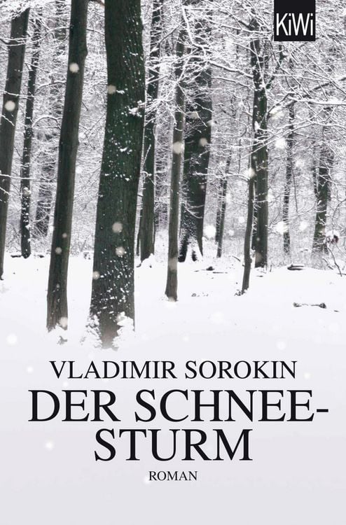 Produktbild: Der Schneesturm