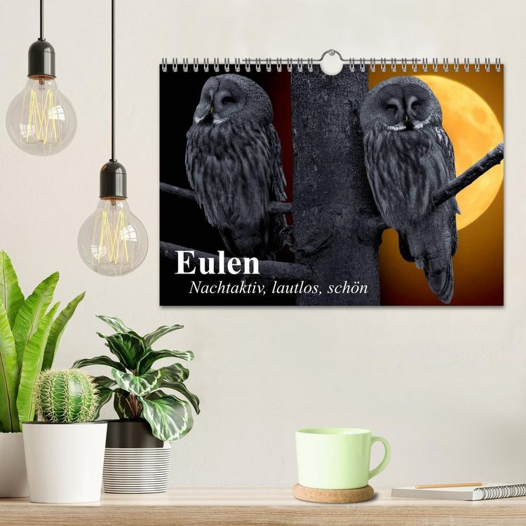 Produktbild: Eulen. Nachtaktiv, lautlos, sch&ouml;n (Wandkalender 2026 DIN A4 quer), CALVENDO Monatskalender