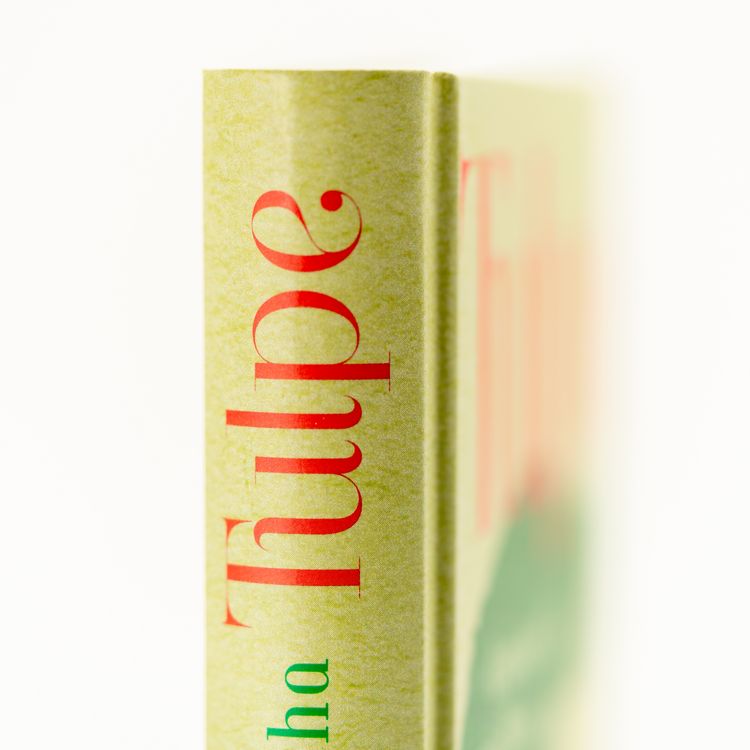 Produktbild: Tulpe