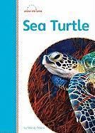 Produktbild: Sea Turtle