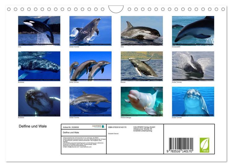 Produktbild: Delfine und Wale (Wandkalender 2026 DIN A4 quer), CALVENDO Monatskalender