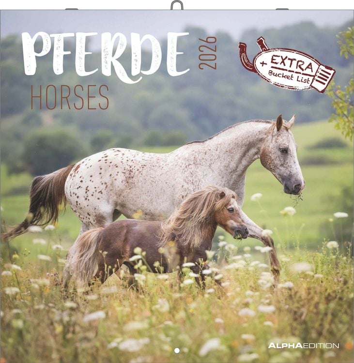 Produktbild: Pferde 2026 - Broschürenkalender 30x30 cm (30x60 geöffnet) - Kalender mit Platz für Notizen - Horses - Bildkalender - Wandplaner - Pferdekalender