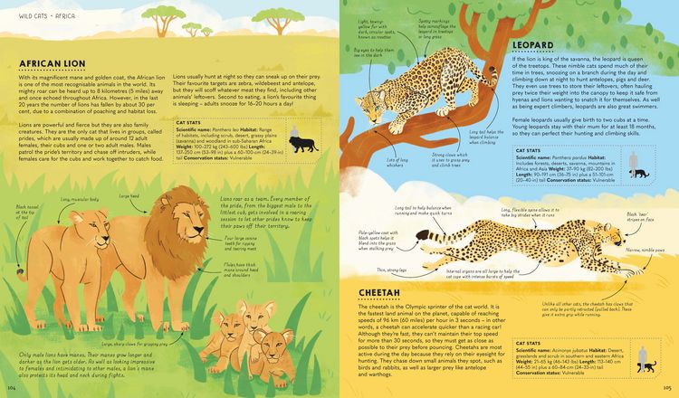 Produktbild: Lonely Planet Kids Atlas of Cats
