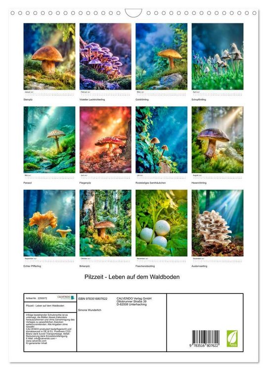 Produktbild: Pilzzeit - Leben auf dem Waldboden (Wandkalender 2027 DIN A3 hoch), CALVENDO Monatskalender