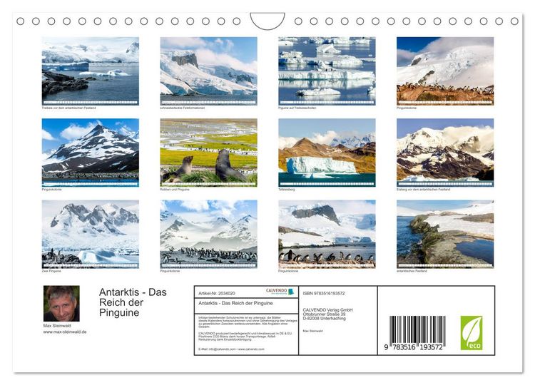 Produktbild: Antarktis - Das Reich der Pinguine (Wandkalender 2026 DIN A4 quer), CALVENDO Monatskalender