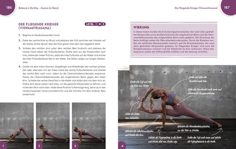 Produktbild: Power meets Balance &ndash; Yoga f&uuml;r Fortgeschrittene