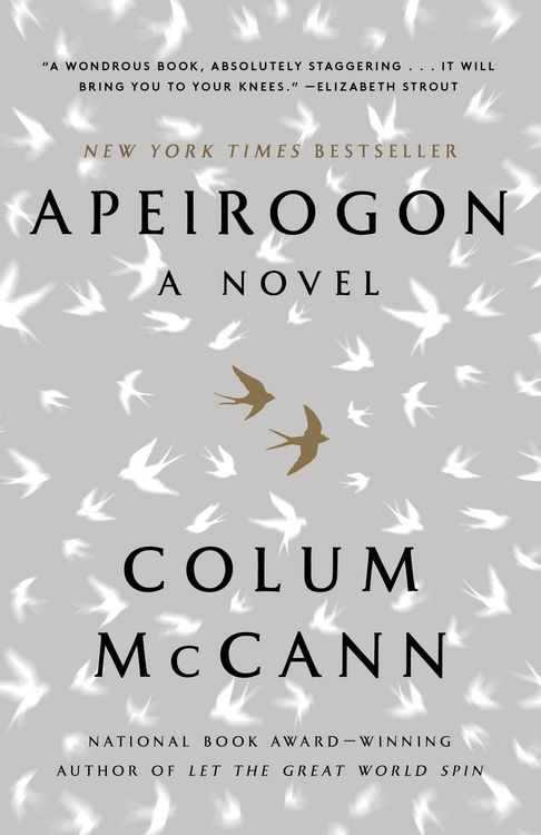 Produktbild: Apeirogon: A Novel