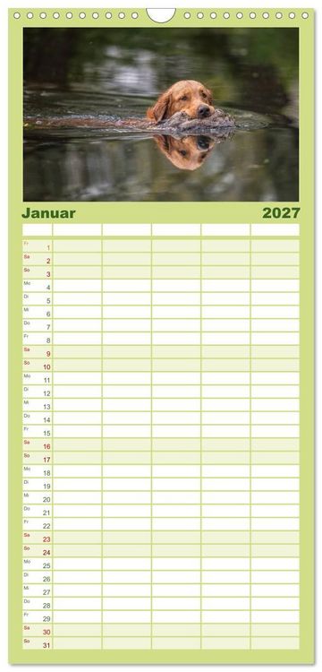 Produktbild: Familienplaner 2027 - Jagdhunde bei der Arbeit mit 5 Spalten (Wandkalender, 21 x 45 cm) CALVENDO