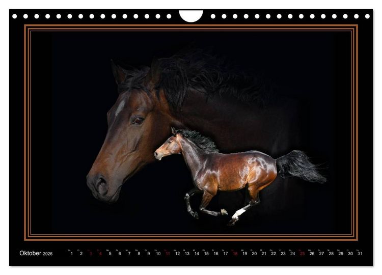 Produktbild: Traumpferde-ART-Collection (Wandkalender 2026 DIN A4 quer), CALVENDO Monatskalender