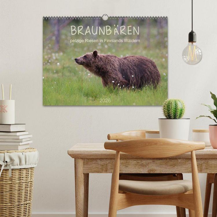 Produktbild: Braunb&auml;ren - pelzige Riesen in Finnlands W&auml;ldern (Wandkalender 2026 DIN A3 quer), CALVENDO Monatskalender