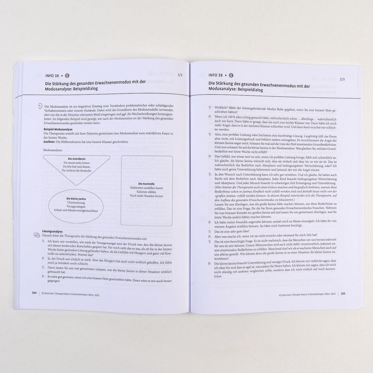 Produktbild: Therapie-Basics Schematherapie