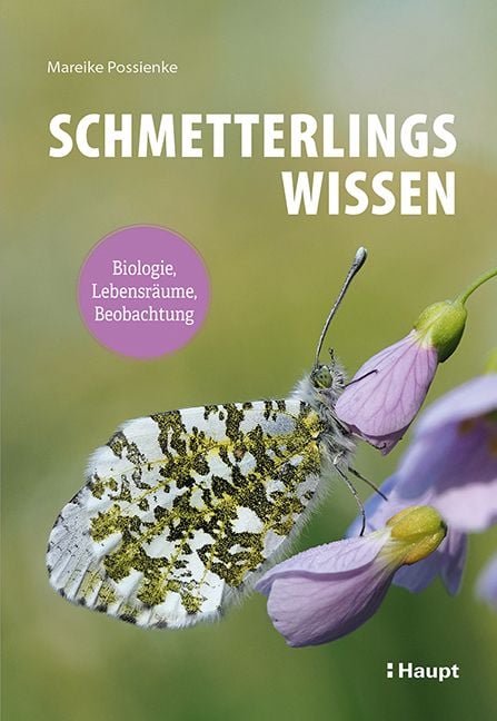 Produktbild: Schmetterlingswissen