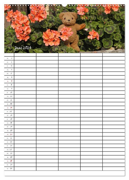 Produktbild: Der Teddyb&auml;ren-Familienplaner (Wandkalender 2026 DIN A2 hoch), CALVENDO Monatskalender