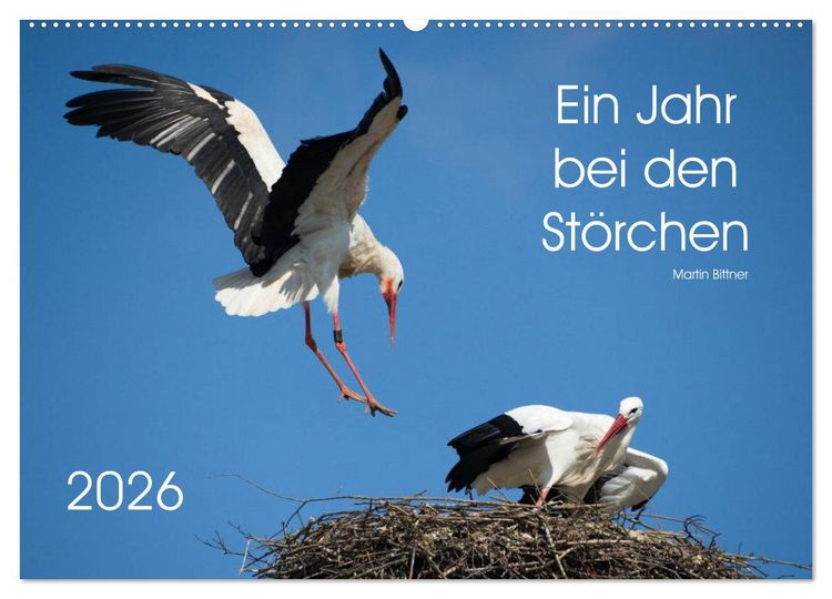 Produktbild: Ein Jahr bei den St&ouml;rchen (Wandkalender 2026 DIN A2 quer), CALVENDO Monatskalender