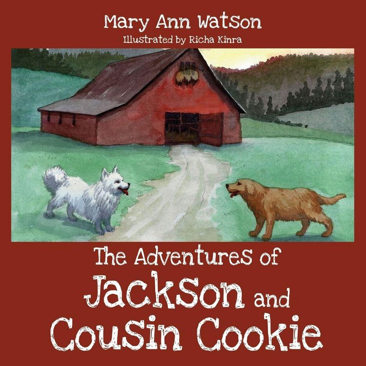 Produktbild: The Adventures of Jackson and Cousin Cookie