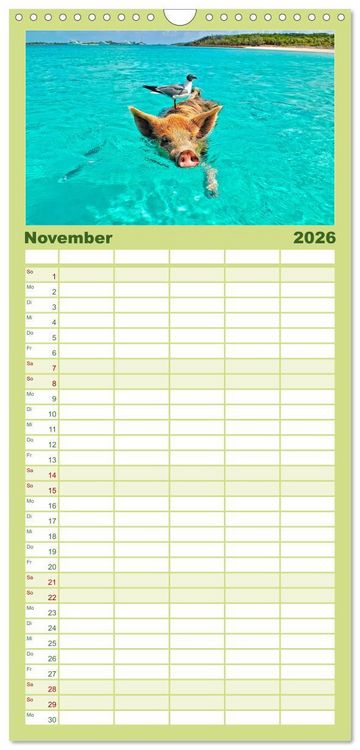Produktbild: Familienplaner 2026 - Die Westindischen Inseln - Bahamas mit 5 Spalten (Wandkalender, 21 x 45 cm) CALVENDO