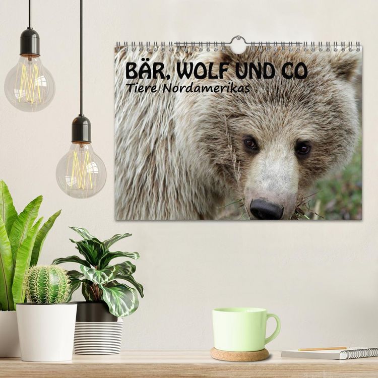 Produktbild: B&auml;r, Wolf und Co - Tiere Nordamerikas (Wandkalender 2026 DIN A4 quer), CALVENDO Monatskalender