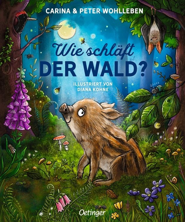 Produktbild: Wie schläft der Wald?