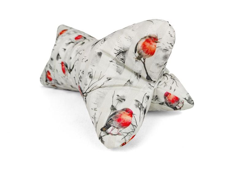 Produktbild: Leseknochen - Rotkehlchen und Birken