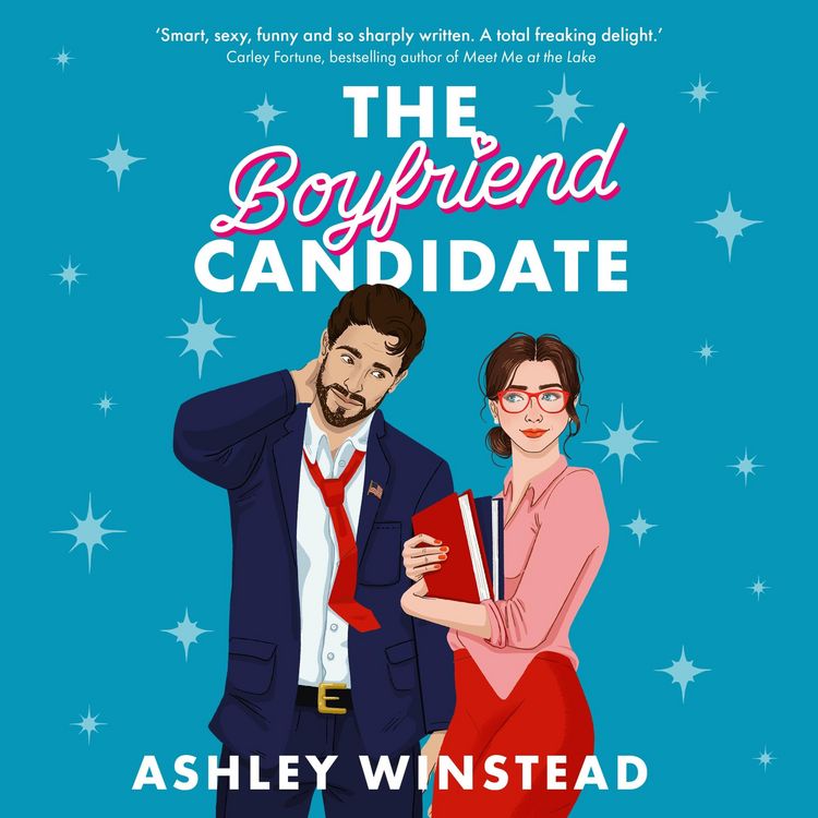 Produktbild: The Boyfriend Candidate